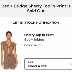 Bec + Bridge Sherry Crop Top in Brown Pattern